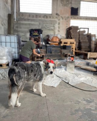 Vážení zákazníci, rok utekl jako voda a my bychom vám rádi ze srdce poděkovali za vaši přízeň a podporu. Díky vám byl...