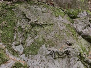 Dnešní toulky nás zavedly ke skvostu od M. B. Brauna – reliéfu Stigmatizace sv. Františka Serafinského a musíme říct, že...